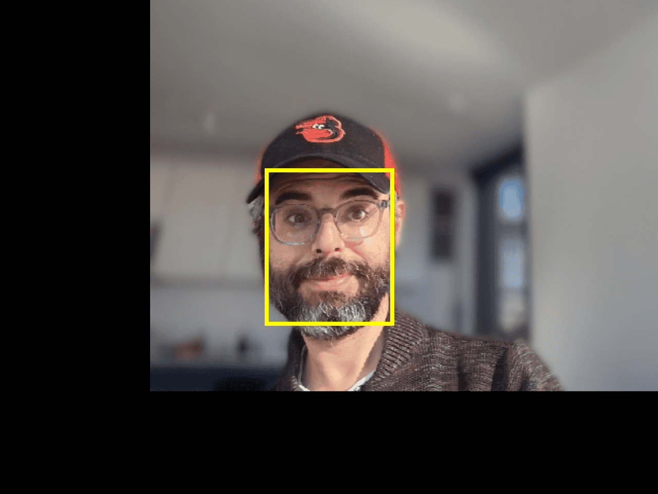 "FaceMesh - Centered Face" code example